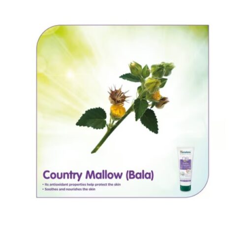 Himalaya Baby Cream (100 ML) - Image 6