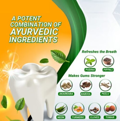 Patanjali Dant Kanti Dant Kanti Natural Herbal Toothpaste - Image 3